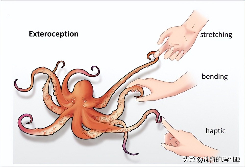 磁性响应水凝胶,光热效应水凝胶