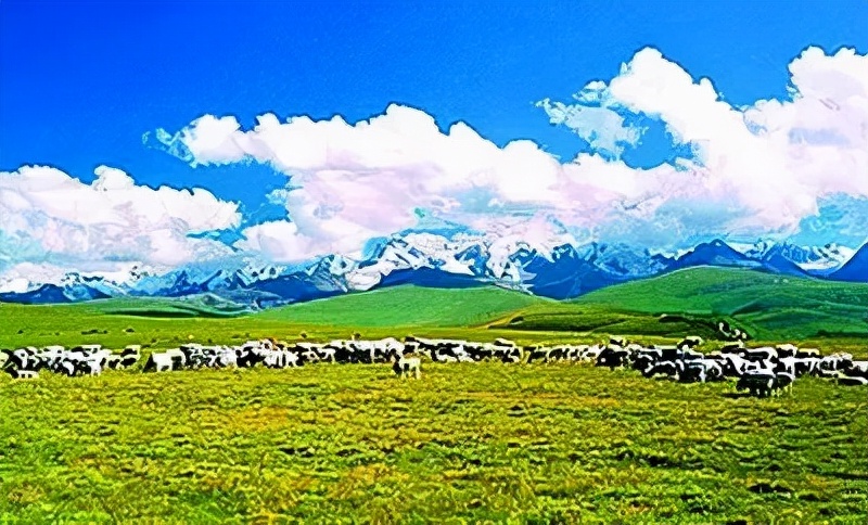 敕勒歌古诗二首教案,古诗敕勒歌教学讲解幼小衔接