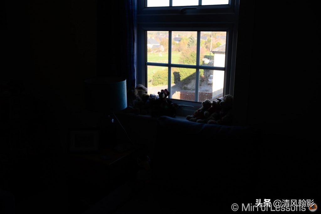 拍鸟用尼康d6好还是z7ii好,拍鸟买r6还是r5