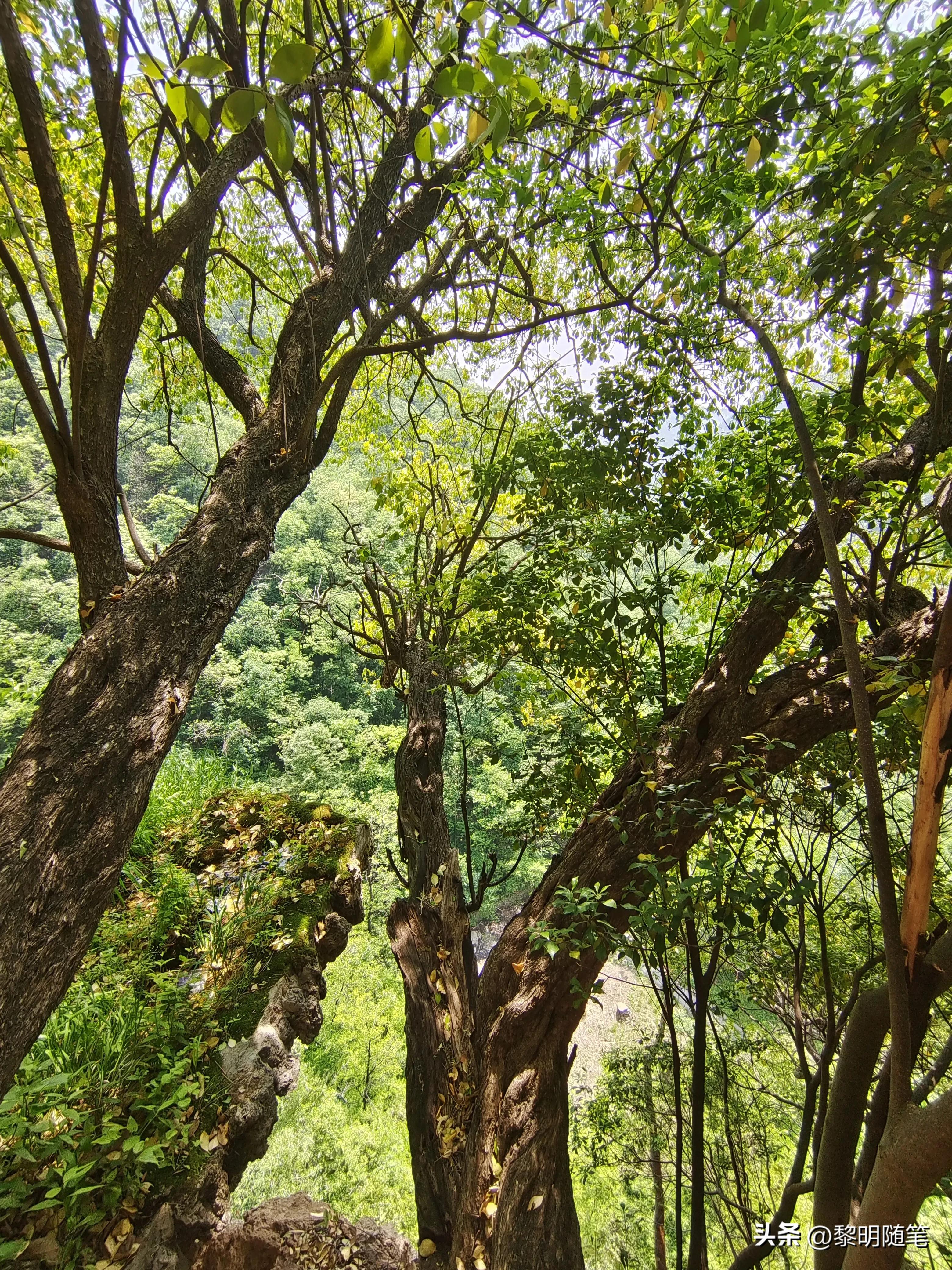 法海寺旅游攻略路线,法海禅寺在哪里