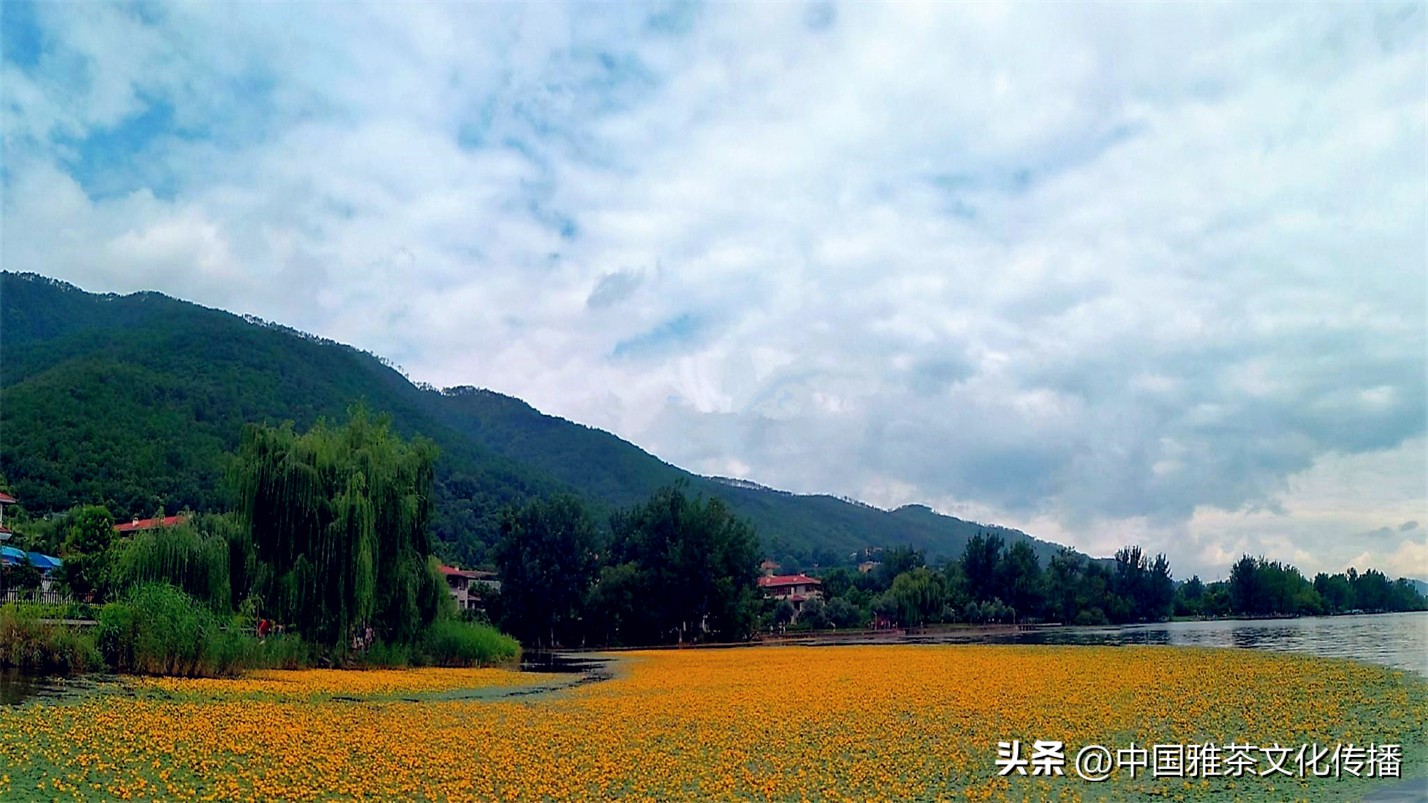 岁月与时光感悟人生,惊艳回眸的时光