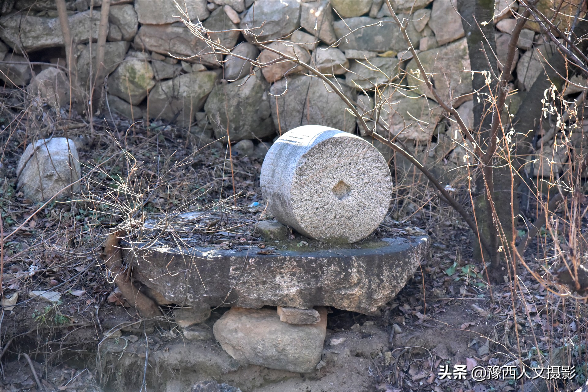 孤山坟墓葬在哪里好,孤山上的坟墓