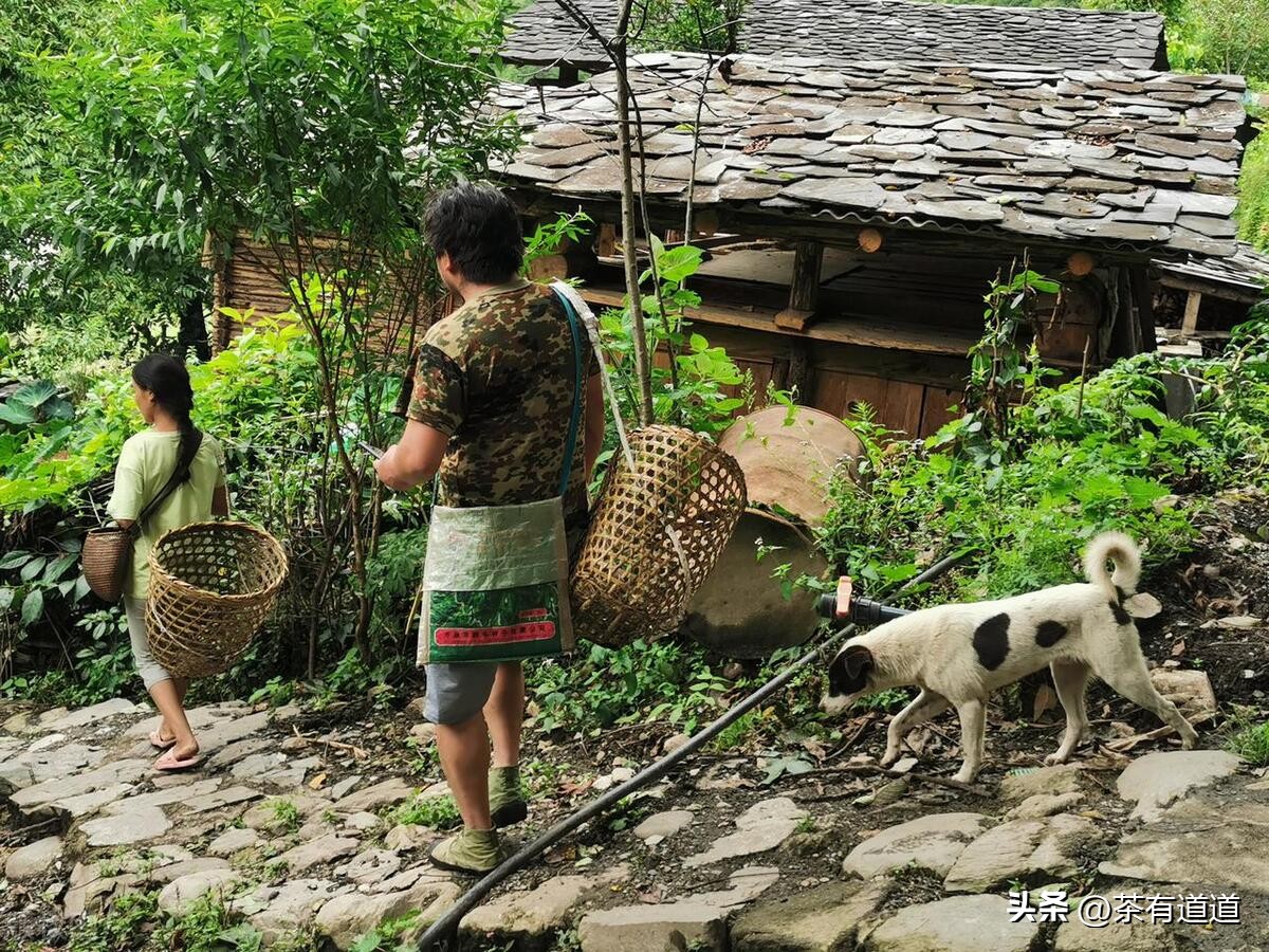 进入怒江雾村必走的茶马古道,怒江大峡谷茶马古道雾里村