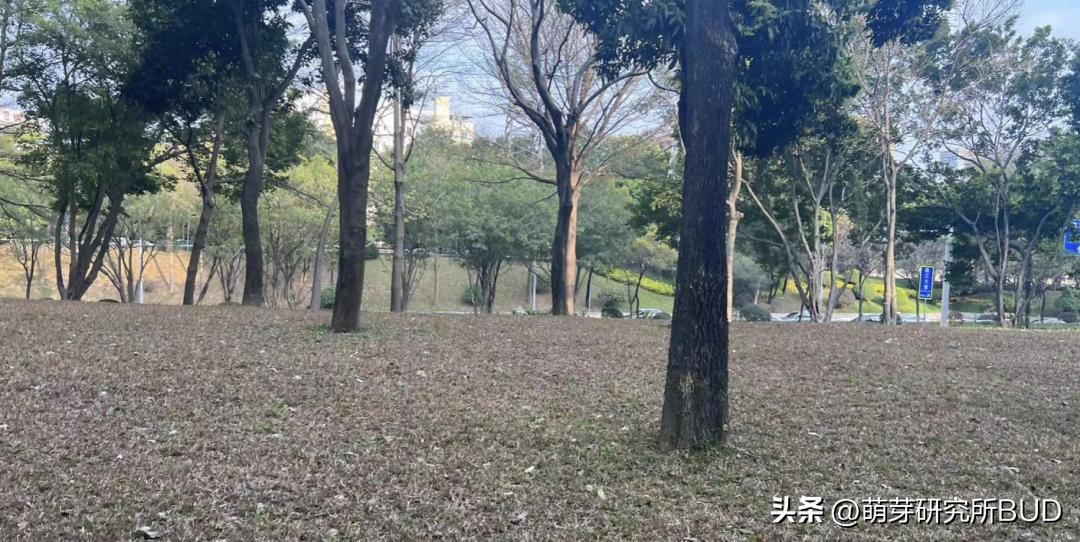 手机丢了,我的世界也丢了呜呜…