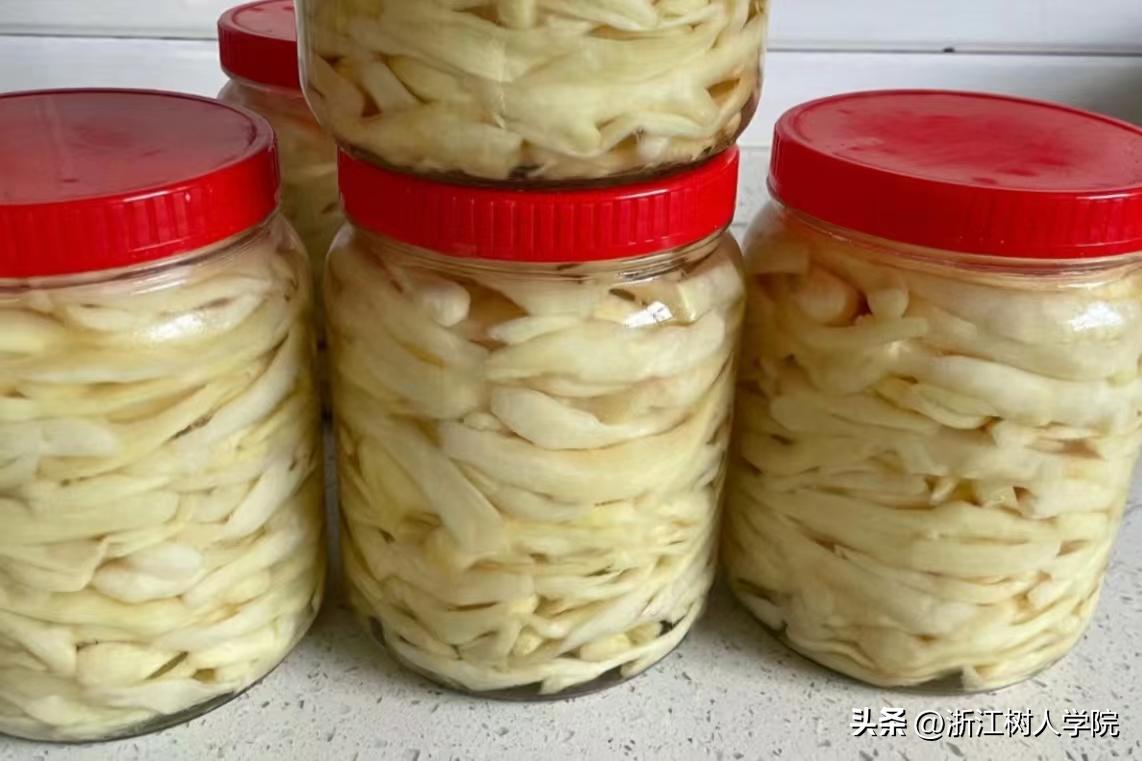 “轻装上阵”还是“负重而行”？带你探秘树人新生的开学行李箱