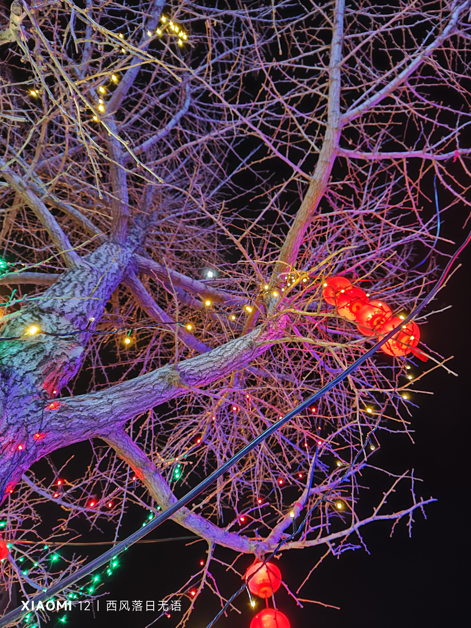 小米12哪一款更值得入手,小米12还值得入手么最新