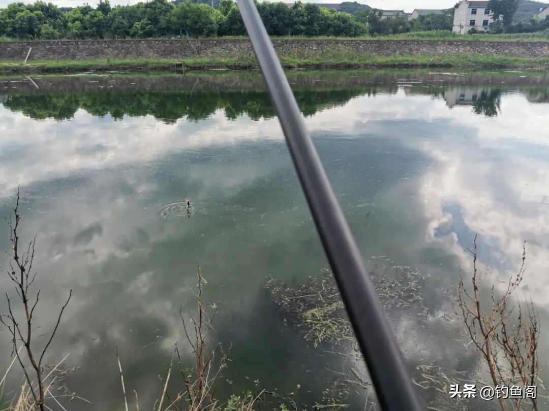 长竿钓鲫鱼怎么选漂和调漂,长竿钓鲫鱼调漂怎么调视频