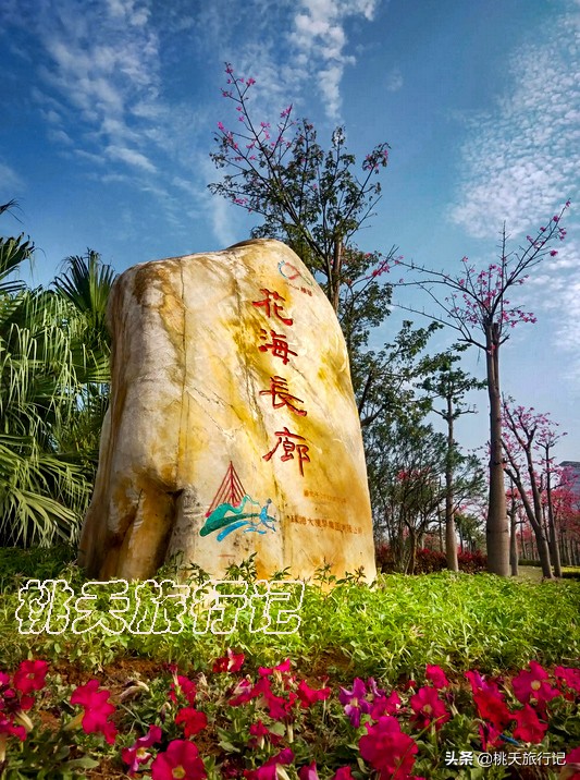 珠海长隆海洋王国五一开门吗,五一珠海哪个地方最好玩呢