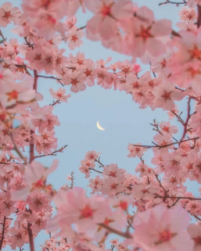 女人对初恋的感情有多深,为什么女人对初恋感情那么深