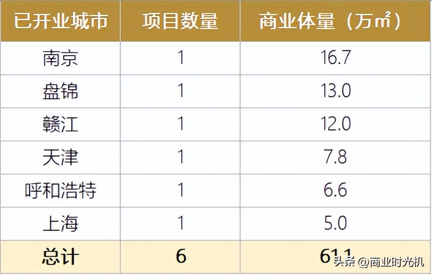 鹏欣集团商业项目,鹏欣集团开发项目