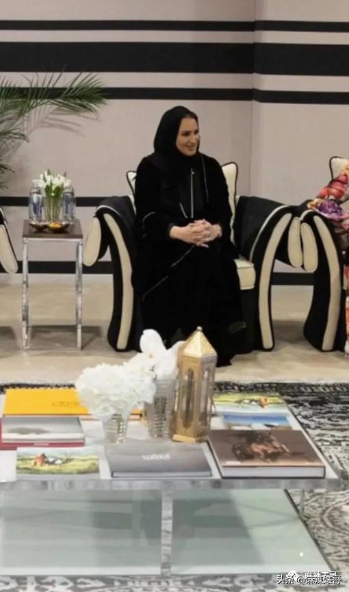 金晨模仿卡塔尔小王子晒照,金晨模仿卡塔尔王子被起诉了吗