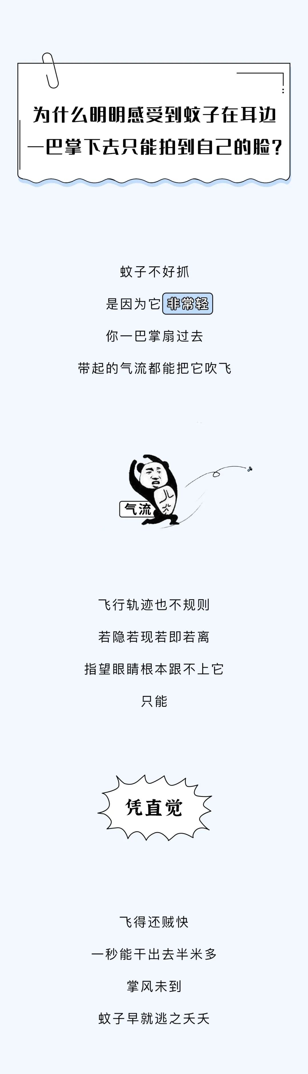 为什么一到睡着前蚊子就会嗡嗡,为什么一睡着蚊子就出来