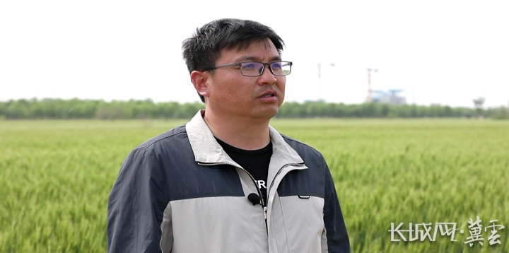 关于盐碱地特色农业的工作信息,盐碱地治理乡村振兴发展的新模式