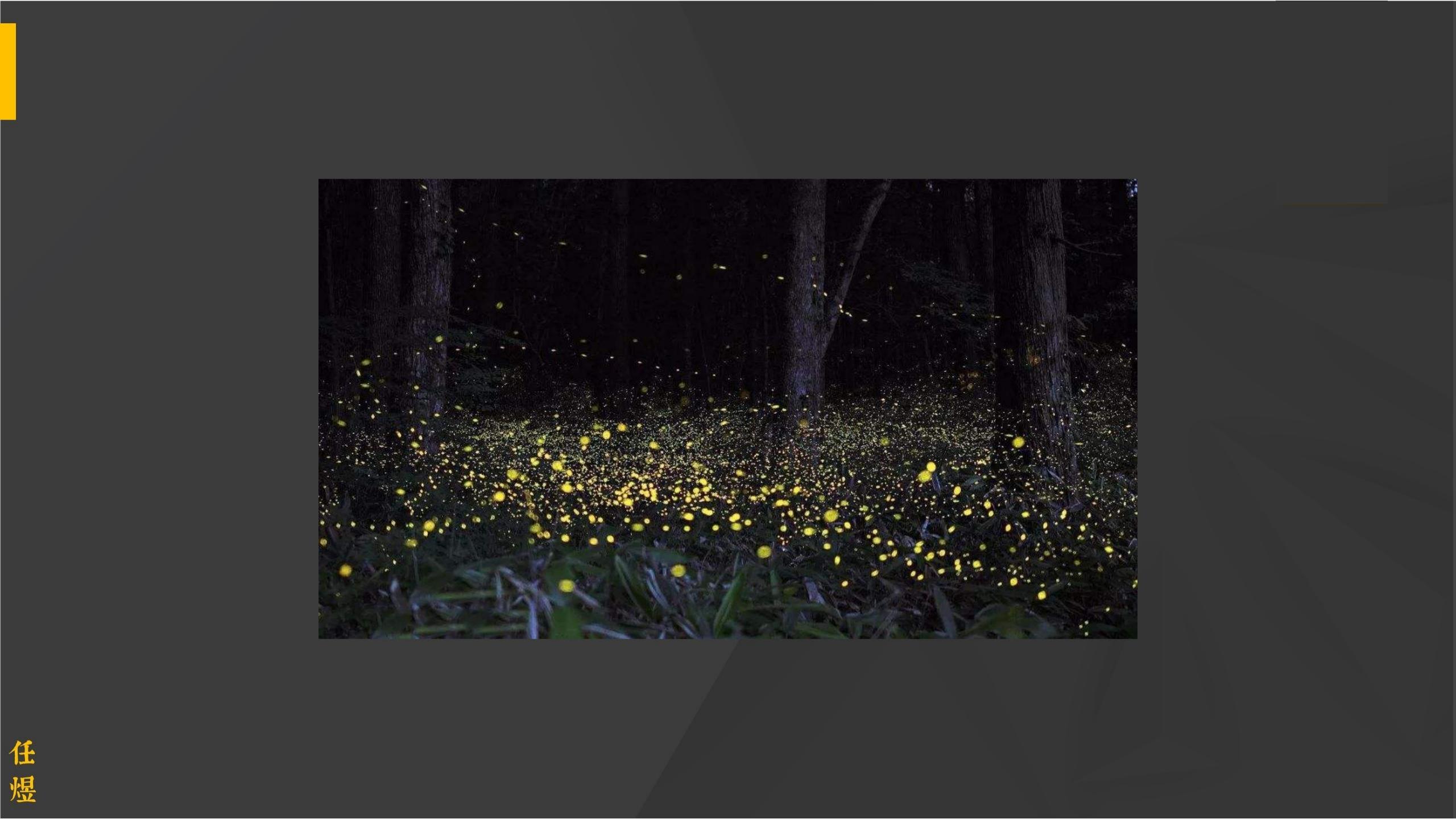 世界经典商业案例,世界经典营销案例800例