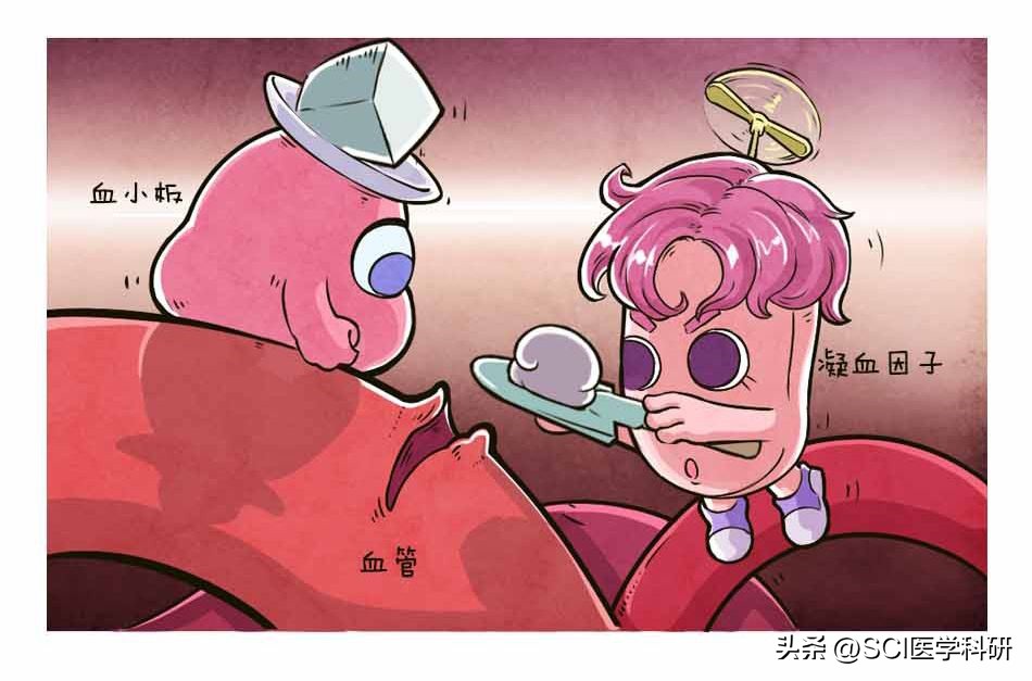 a型血基因疗法最新数据,a型血友病基因治疗费用