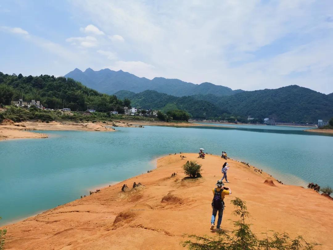 从化草埔村荷花游记,从化小杉村游玩攻略油菜花