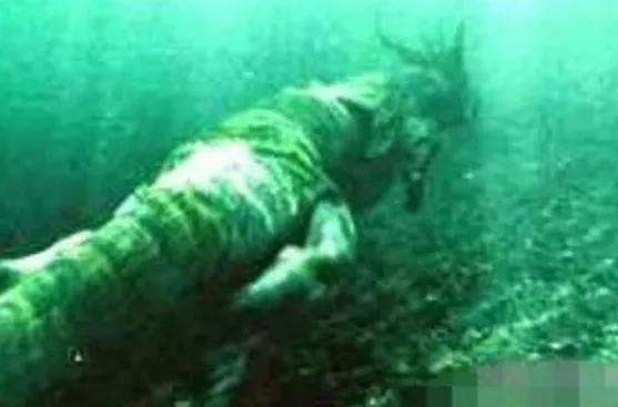 开原发现蛟龙!东北最近频频出现龙卷风,一段视频流出,火遍网络