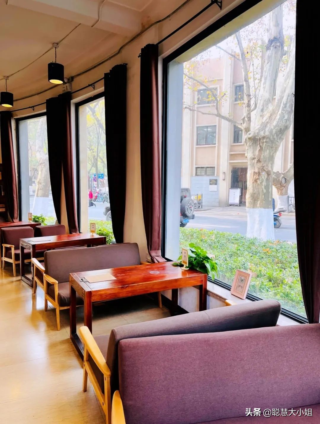 南京赏秋枫叶,南京秋天赏枫叶好去处