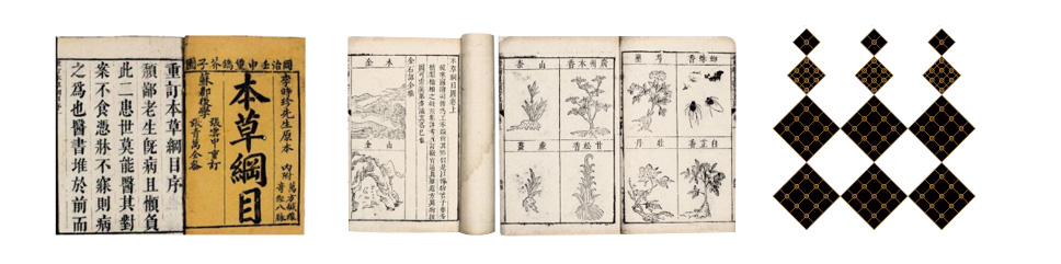 仲景牌系列产品,仲景系列中成药