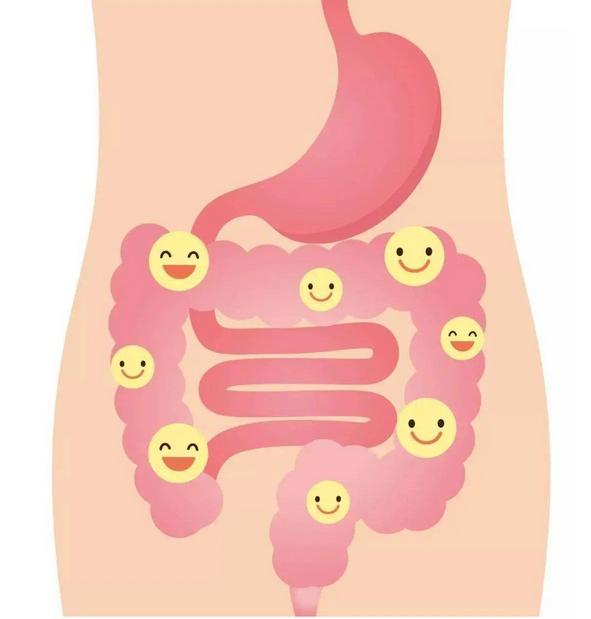 脾胃虚寒脾胃湿热用什么中成药,什么药调理脾胃缓解屁多屁臭