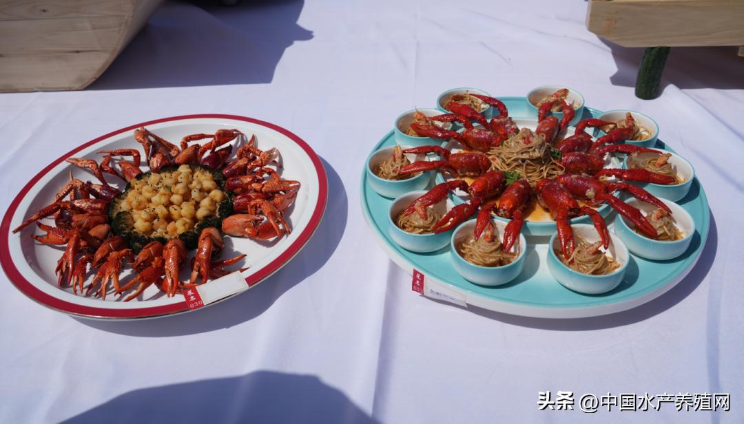 2023年南县小龙虾价格行情,南县小龙虾价格报价