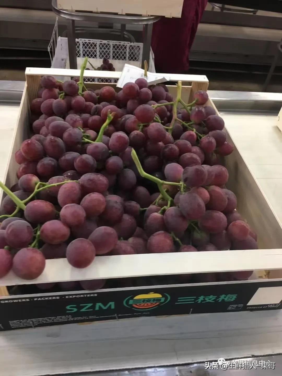 在水果中浆果是分哪几种,水果分类浆果