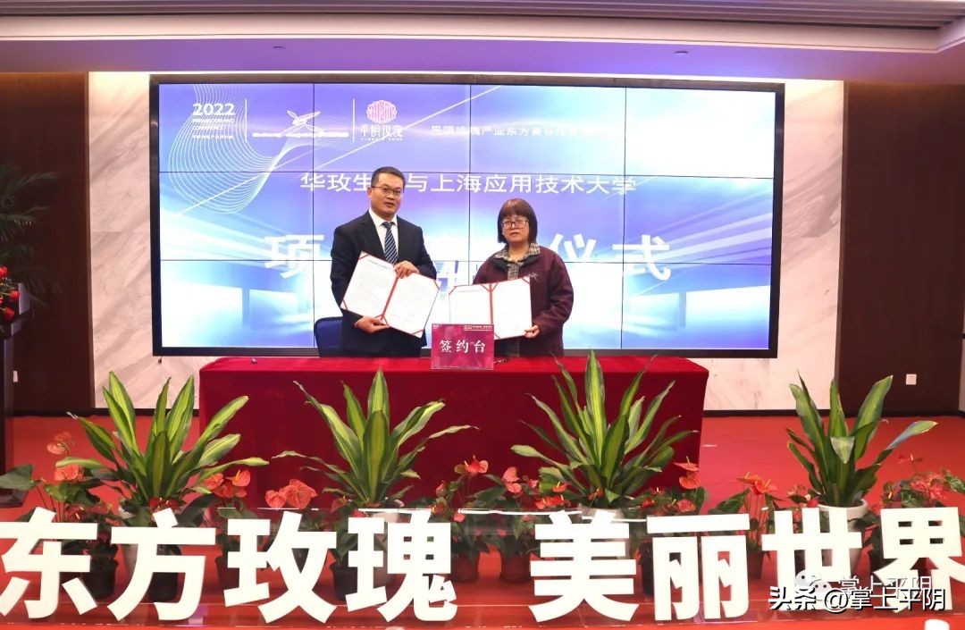 黄浦江畔，美丽有约！“东方玫瑰美丽世界”2022平阴玫瑰产业东方美谷招商推介暨战略合作签约活动隆重举行