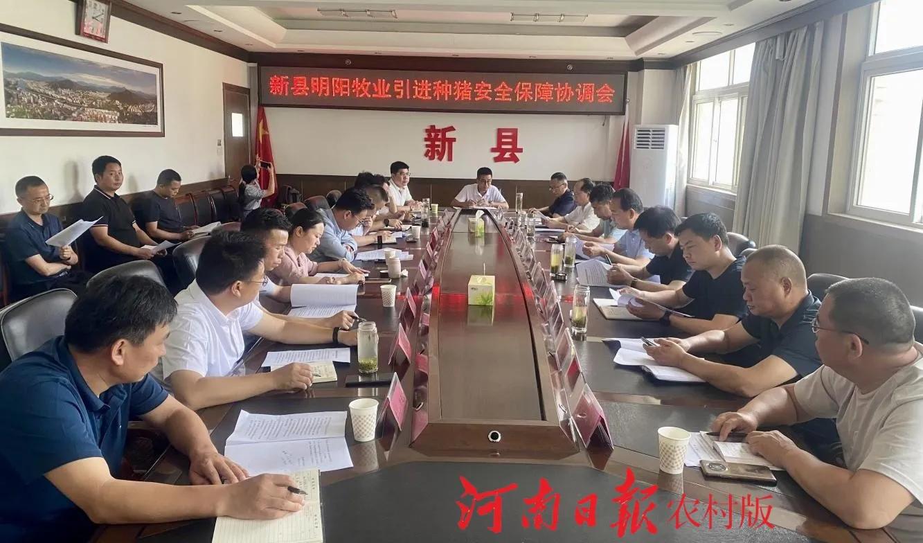 千头美国种猪“安家”河南新县,千头美国种猪“安家”新县