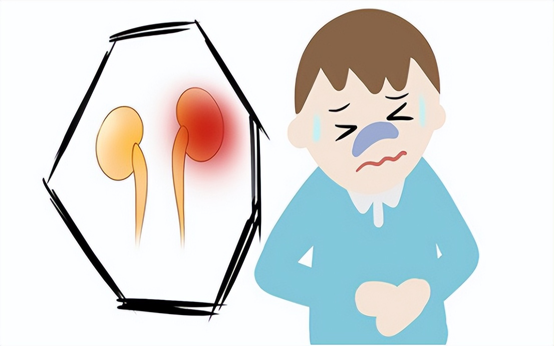 肌酐高就是代谢功能差吗,肾功能肌酐正常尿常规肌酐高