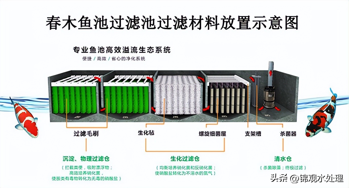 鱼池过滤毛刷安装方法,最简单高效的鱼池过滤系统设计图