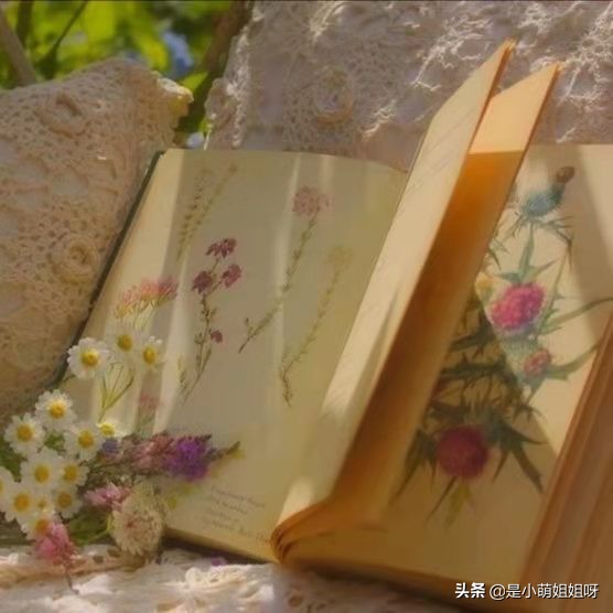 怎样才可以一夜涨粉到6000,怎样一个月涨粉500万