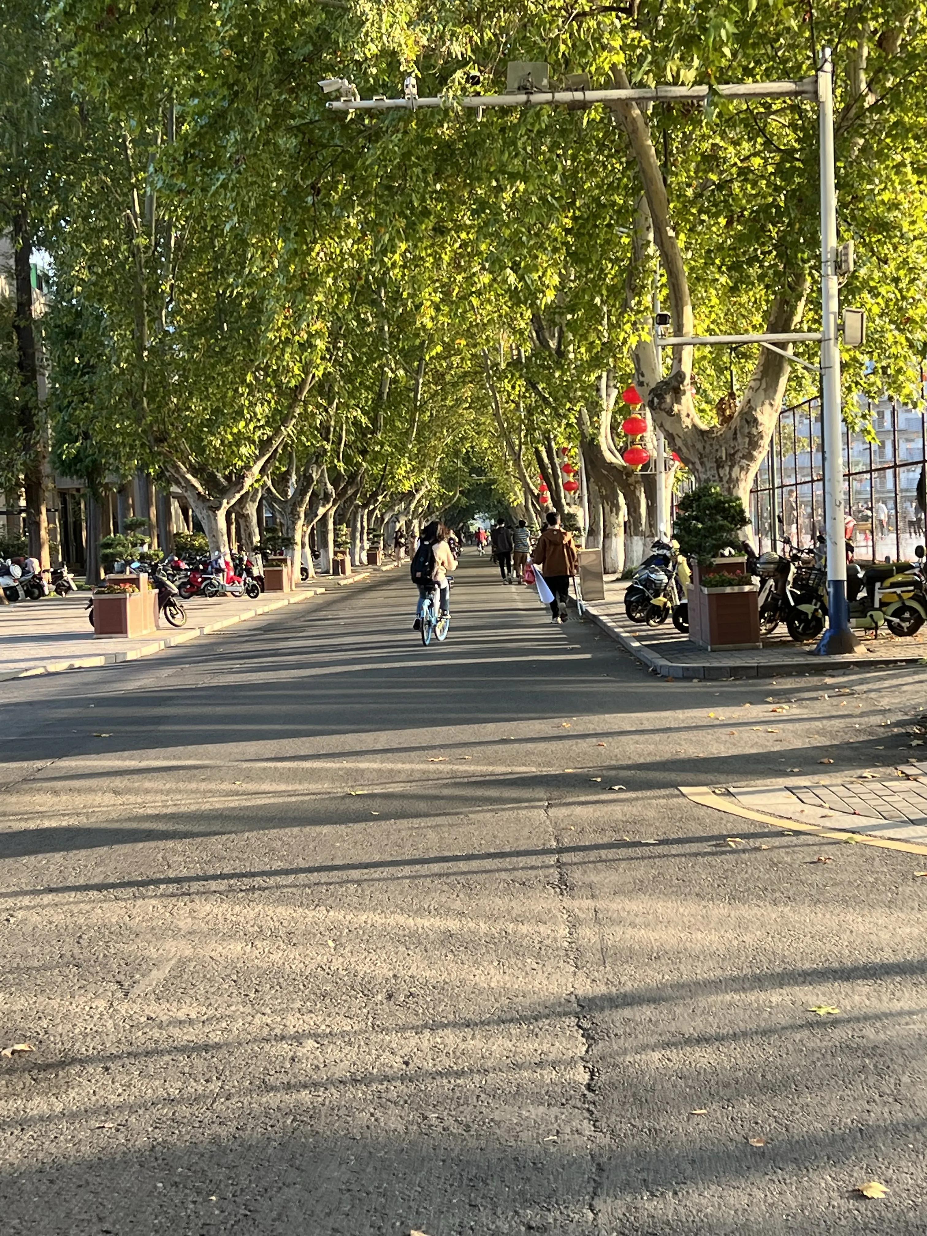 南京理工大学怎么看文献,南京理工大学专业怎么样