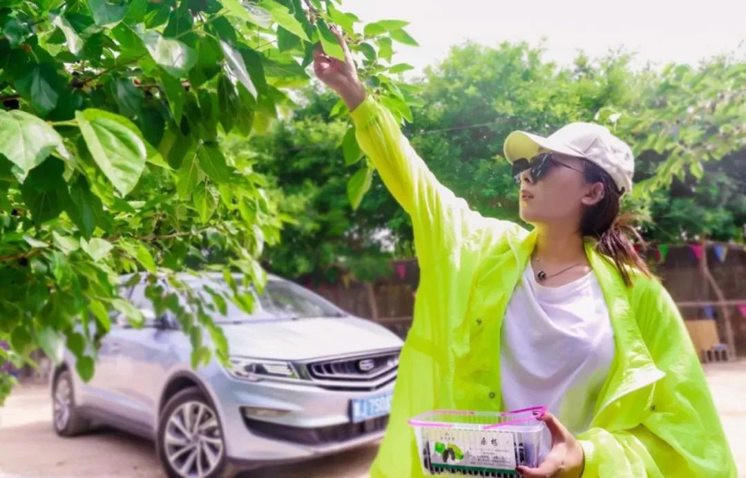 休闲农业和乡村旅游线路图,休闲农业旅游线路推荐