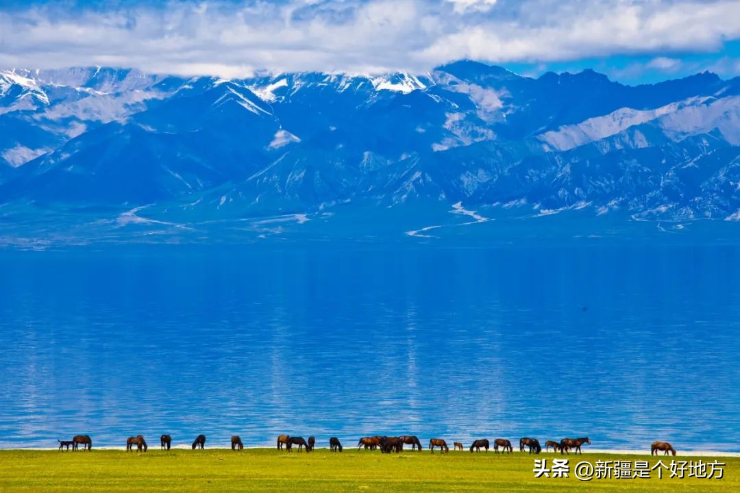 暑假北疆旅游攻略详细,五一适合去南疆还是北疆