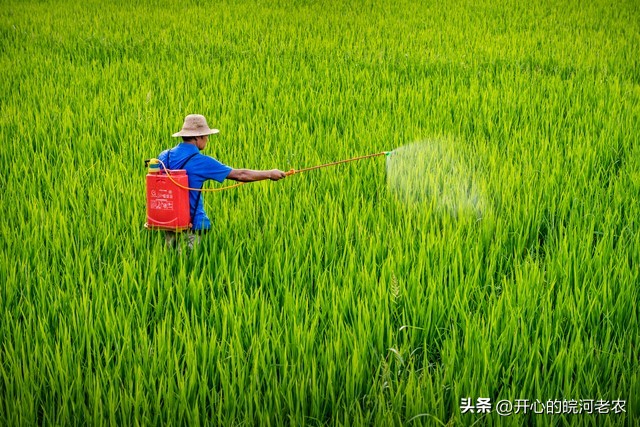 恢复农业税又要征了吗,专家建议恢复征收农业税什么意思