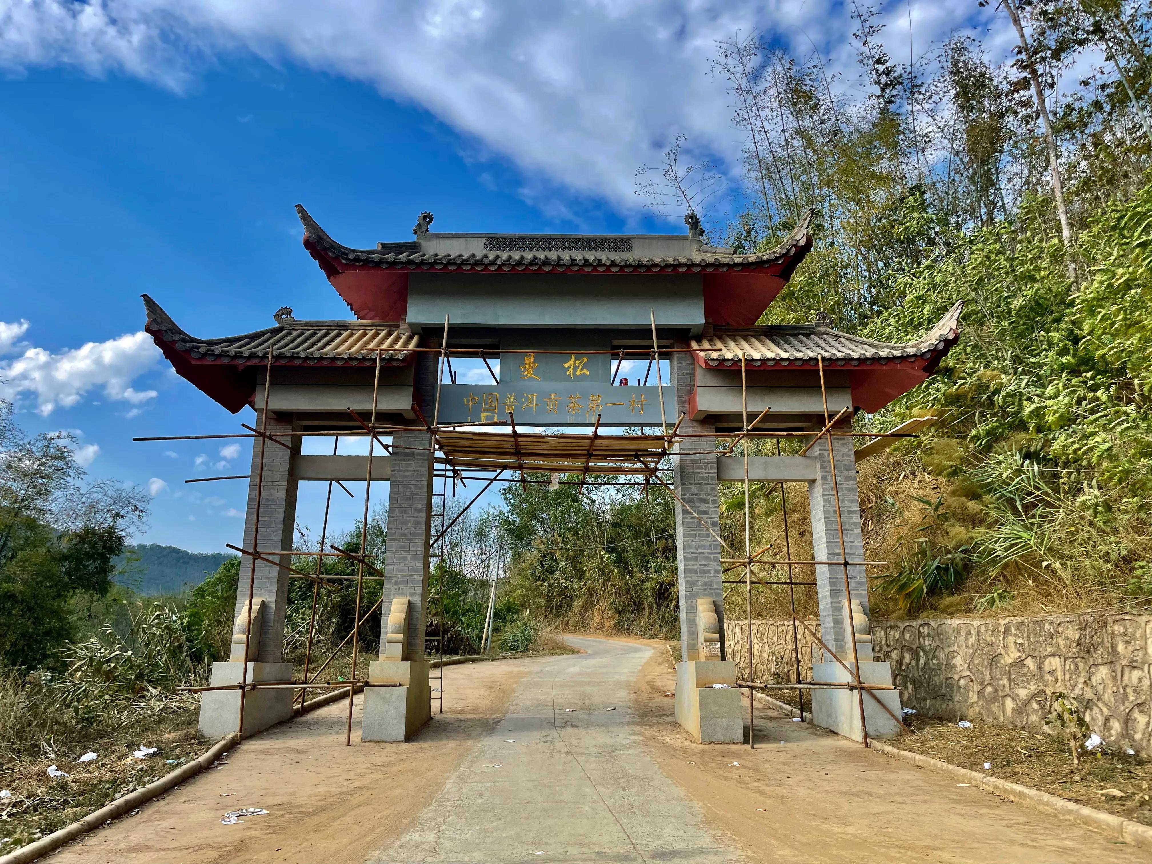 2023年普洱茶品质如何,普洱茶品种为什么不好卖