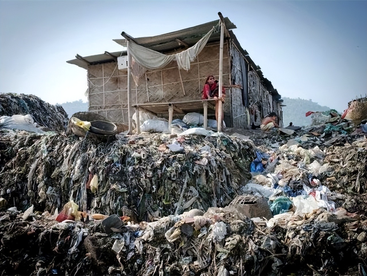 印度垃圾山养出巨鸟，比小孩还高，为何当地贫民吃垃圾也不吃它？