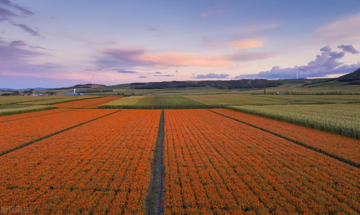 男女暧昧的具体行为有哪些,男女之间哪些行为可以断定是暧昧