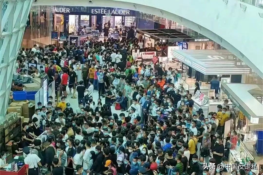 湛江海关缉私局走私最新新闻,湛江海关缉私事件