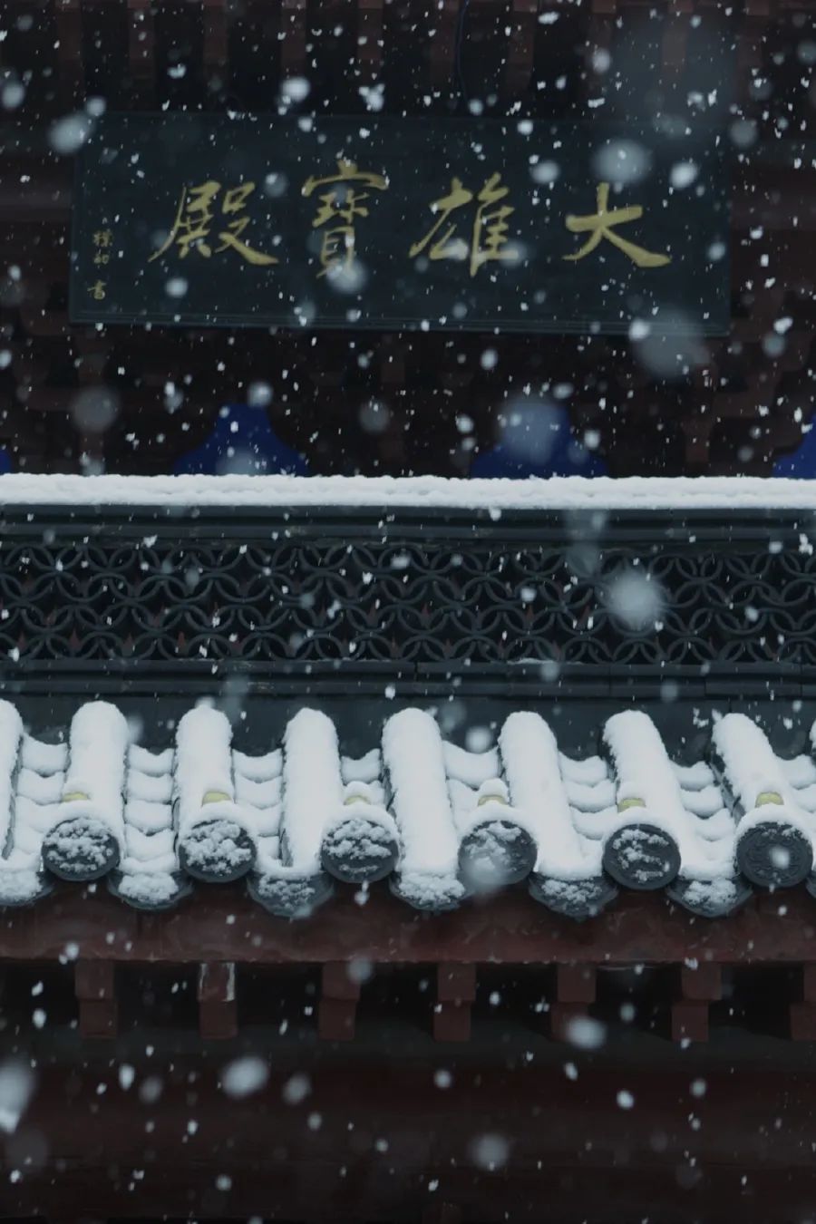 倾情荐读：时间的名字