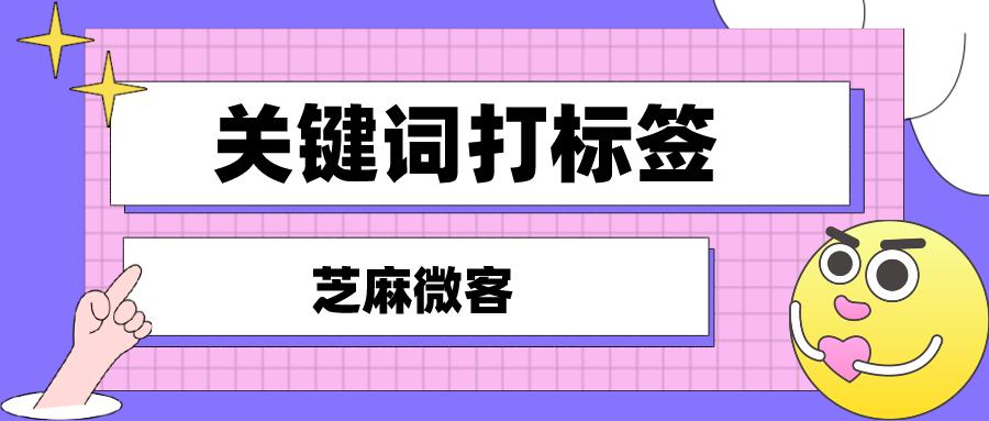 企业微信客户标签怎么设置,企业微信怎么自动打标签