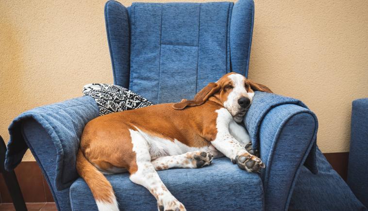 日本年轻一代御宅族,御宅族日本