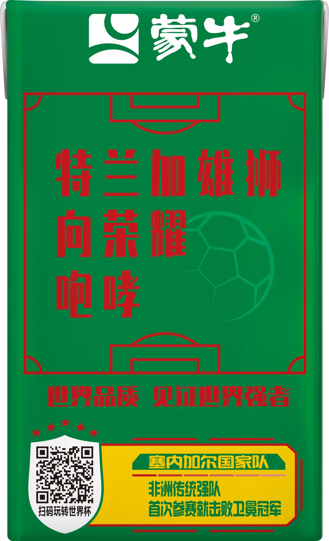 世界杯队长纪录片b站,国家队队长的故事