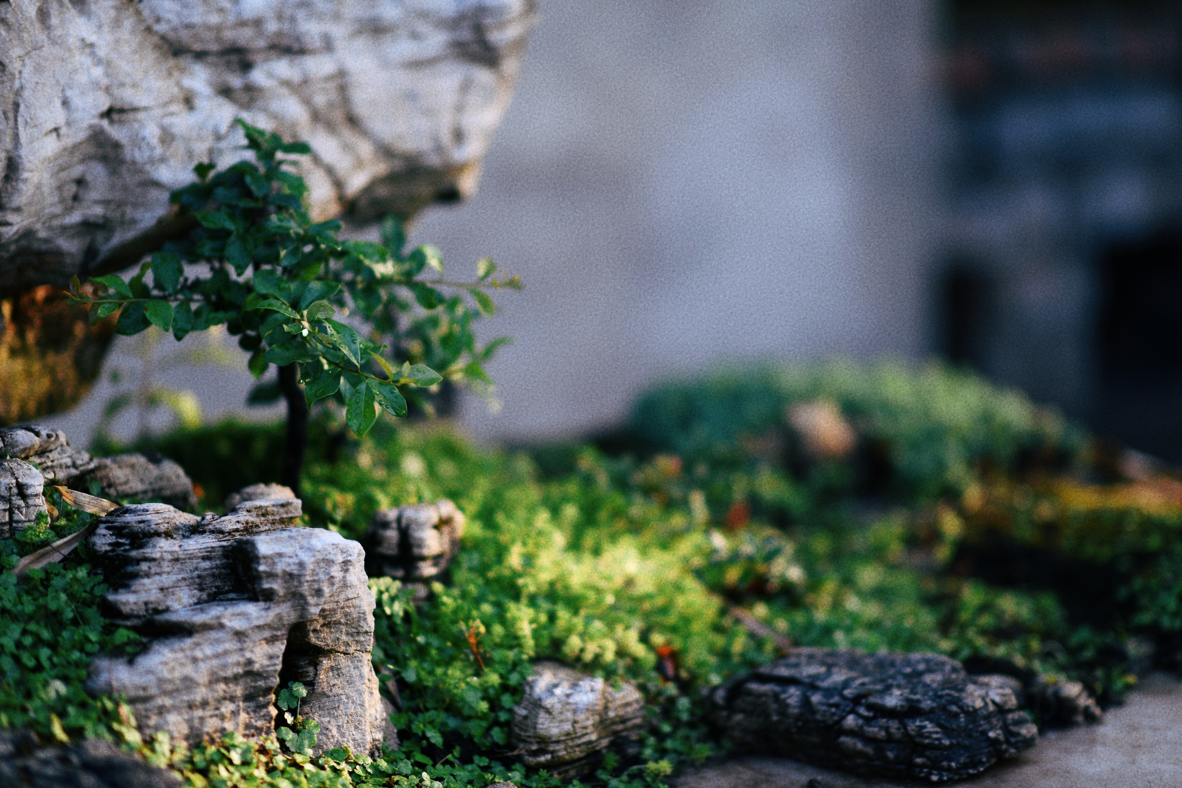 界石见山空谷民宿,巴南界石世外桃源