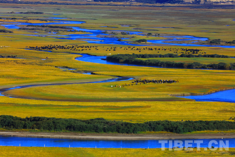 四川理塘海子山规划,理塘县生态农业发展中心