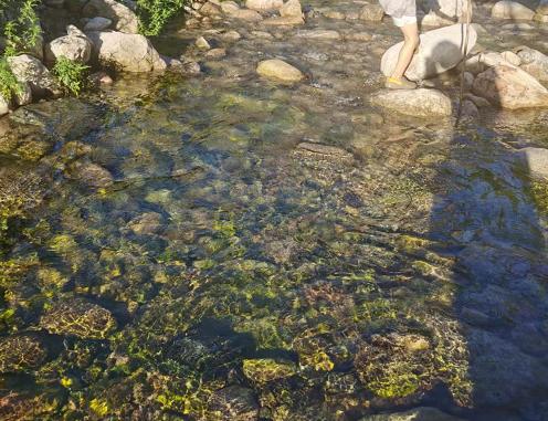 老界岭避暑92号山庄吃住全包,老界岭避暑胜地比较有名