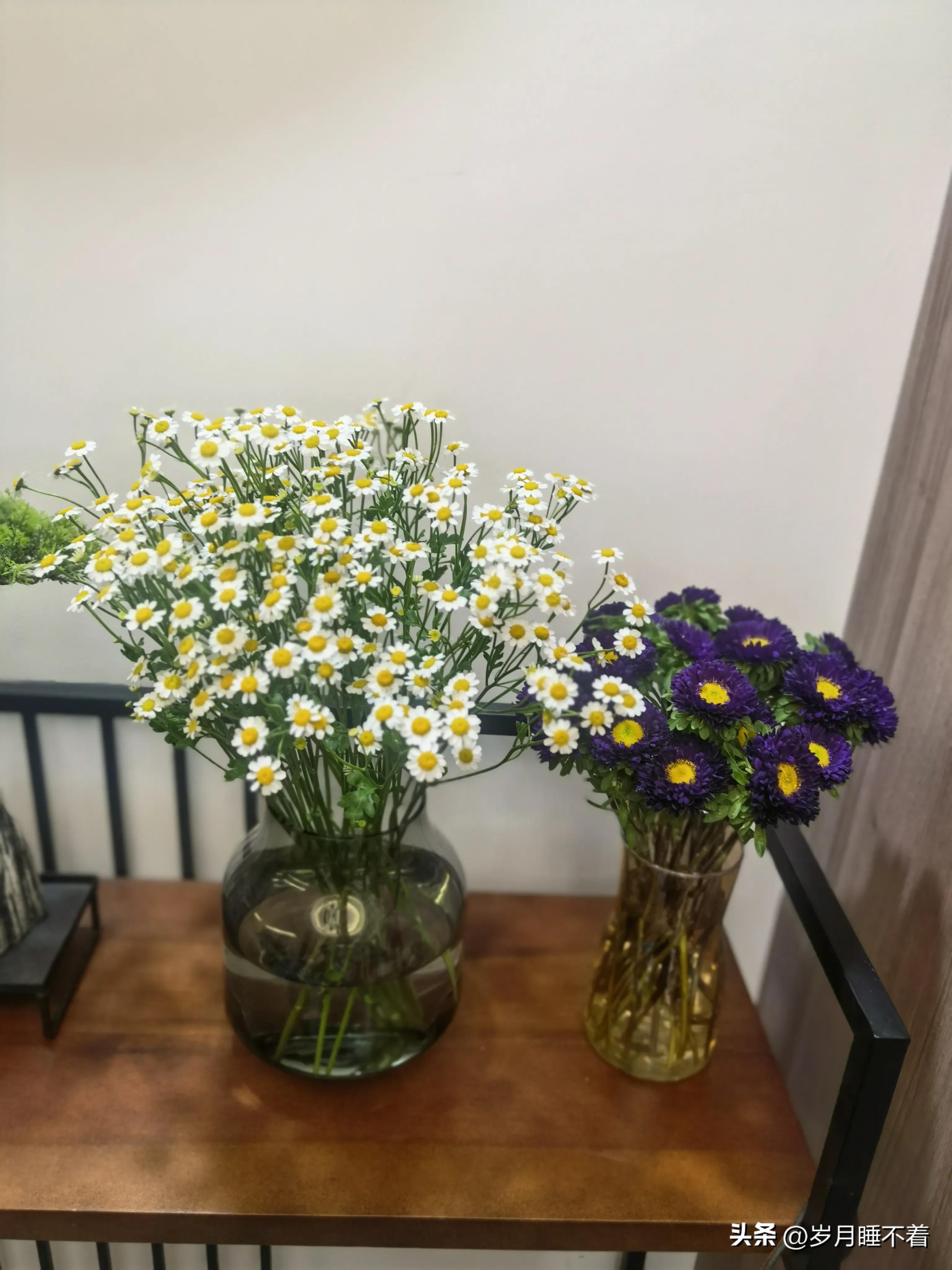 瞬间提升室内高级感的5种绿植,森系装修风格怎么在效果上展现