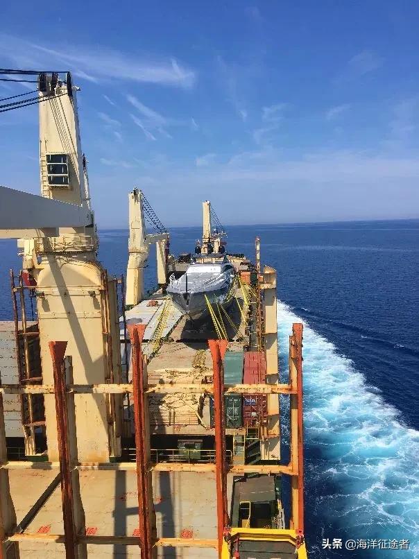 李理想亳州,李理想的最新视频