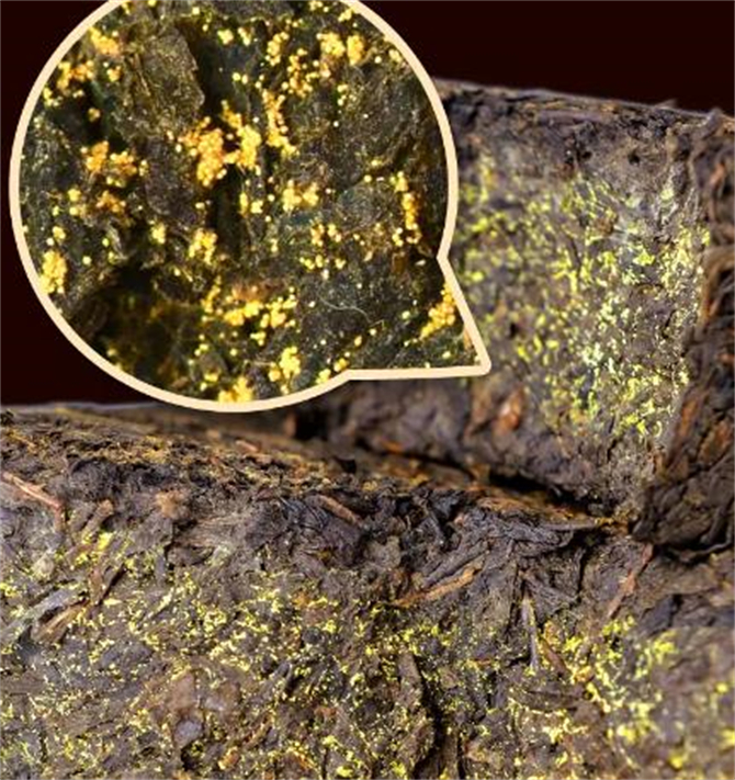 茯茶跟黑茶有区别吗,茯茶陕西泾阳茯茶属于黑茶吗