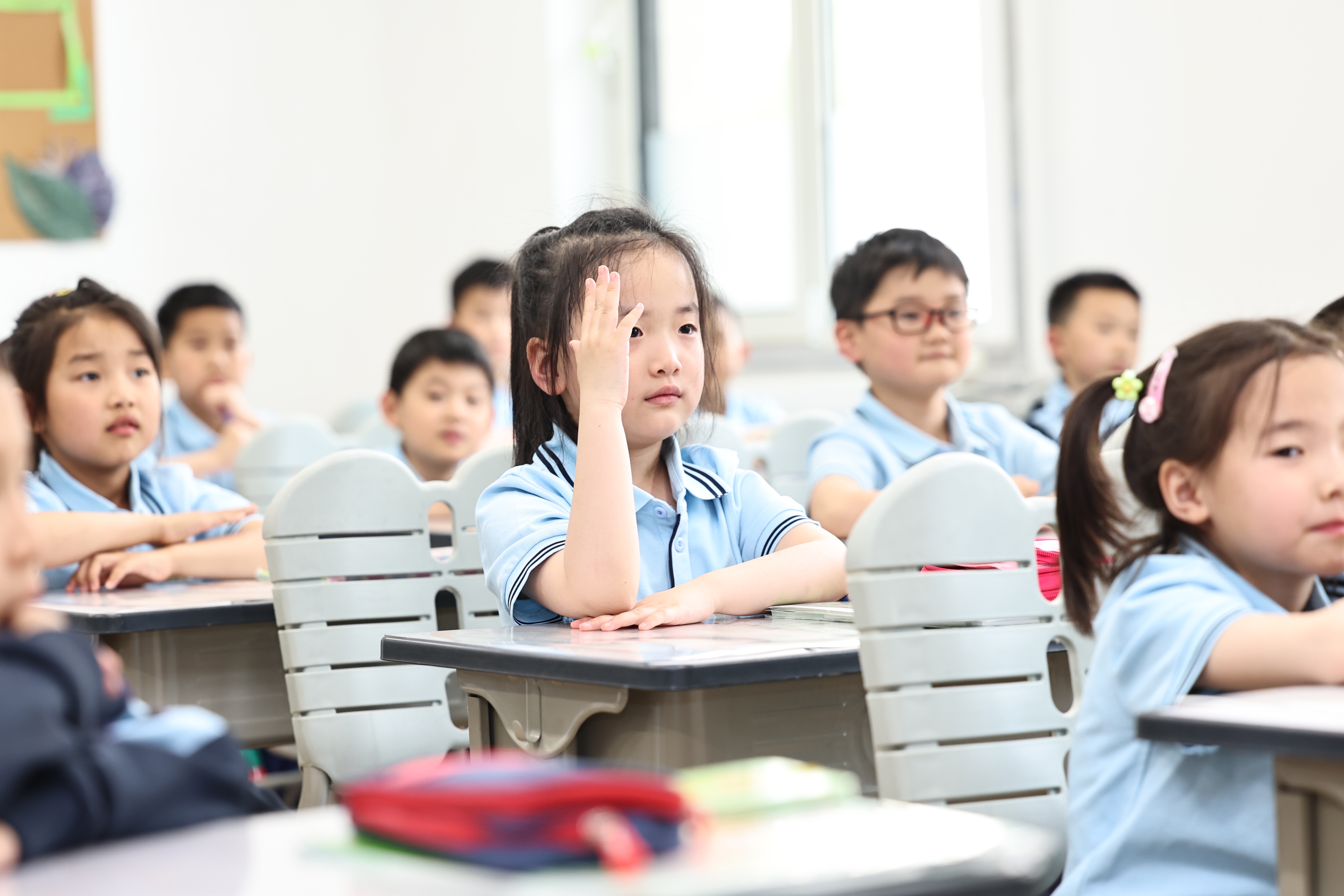 海河博爱教育,海河博爱学校最新消息